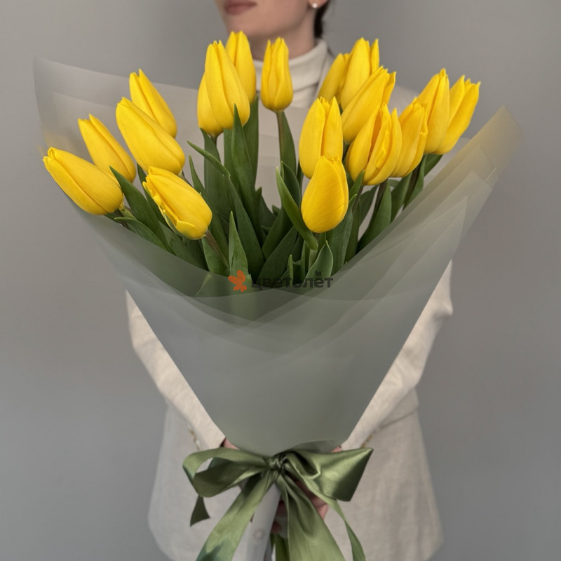 Голландский роман