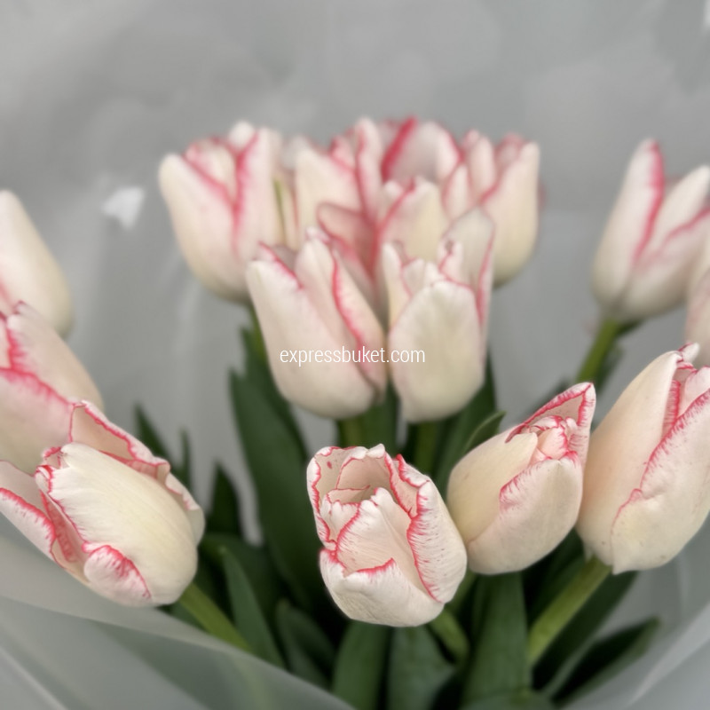 Шепот весны