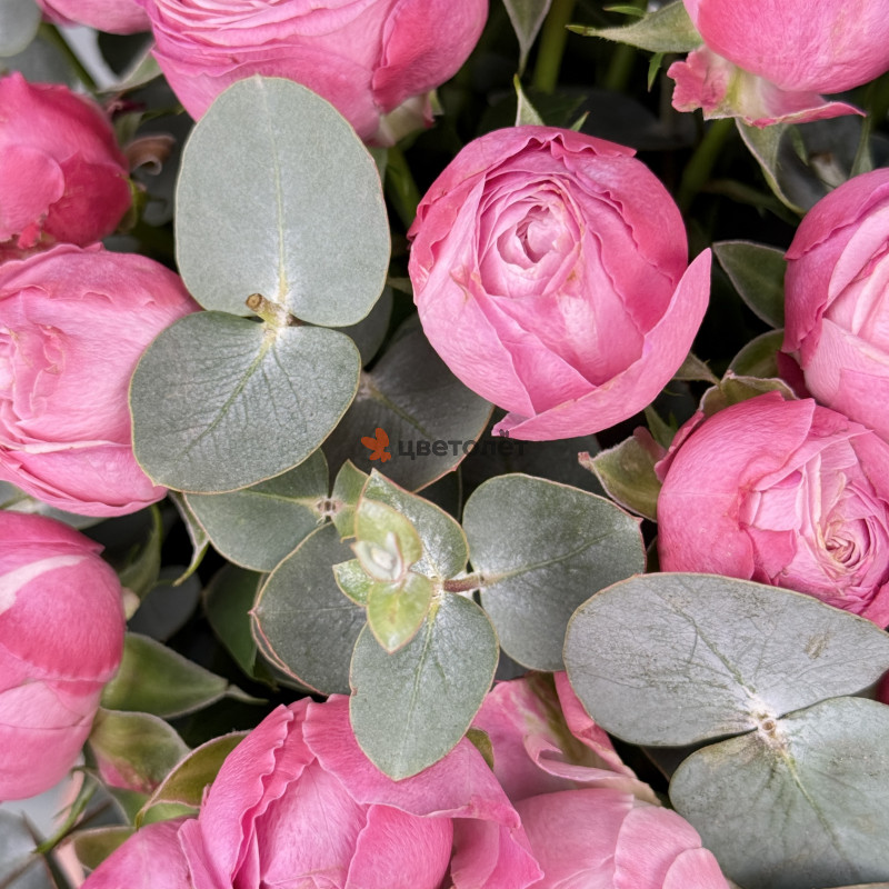 Коробка из кустовых пионовидных роз